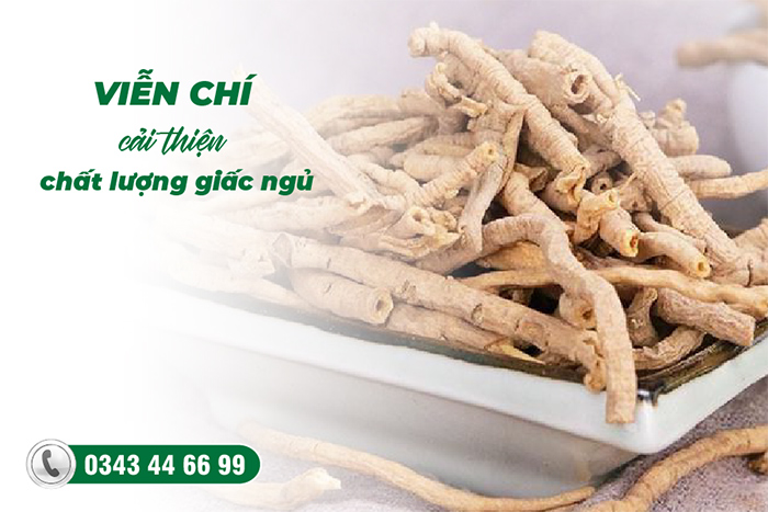 Viễn chí thuốc nam trị mất ngủ