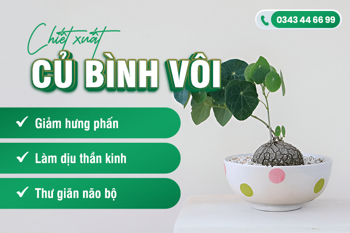 Tác dụng của chiết xuất Bình vôi 
